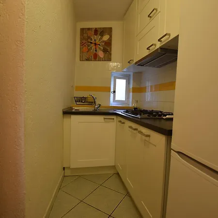 Bouganville 2